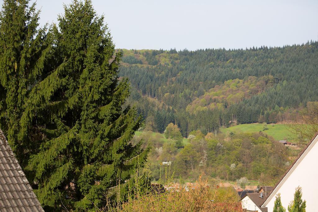 Schoene Aussicht Seelbach  Rum bild